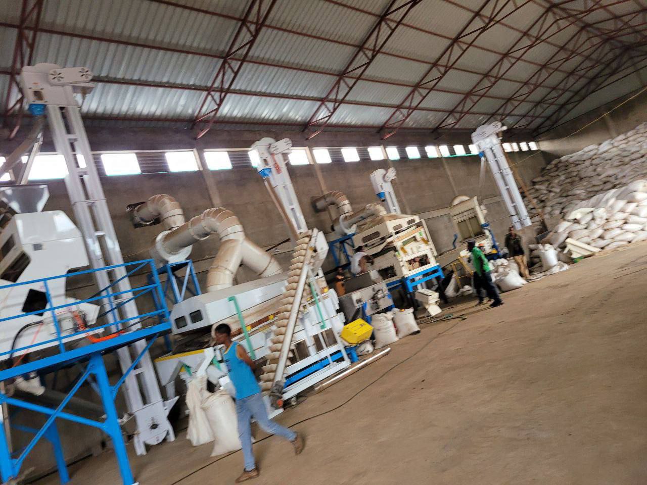 Vibrant and colorful kidney beans