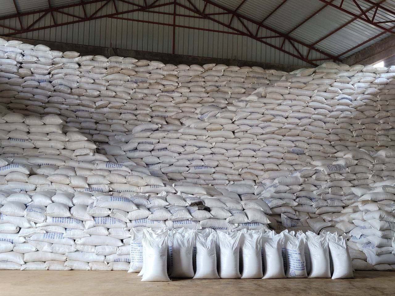 High-quality sesame seeds